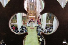 IMG_8341_klein.JPG