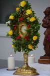 DSC_1578a_g.JPG