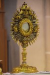DSC_1405_g.JPG